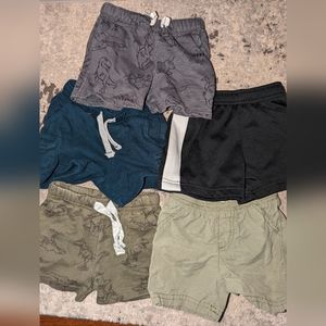 9 month shorts lot